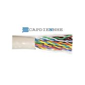 Cáp Mạng Alantek cat3 25-pair UTP (500m/reel) | 301-100253-0000