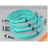 Dây Nhảy Quang Multimode MPO-MPO