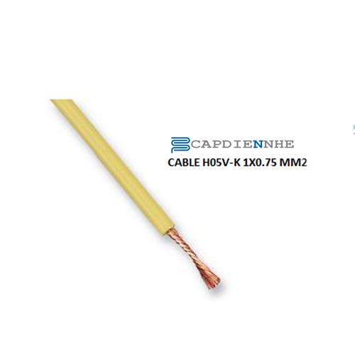 Cáp Tín Hiệu Lapp Kabel 4510112 CABLE H05V-K 1X0.75 MM2 YEL