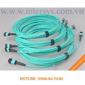 Dây Nhảy Quang MPO-MPO 12FO OM3