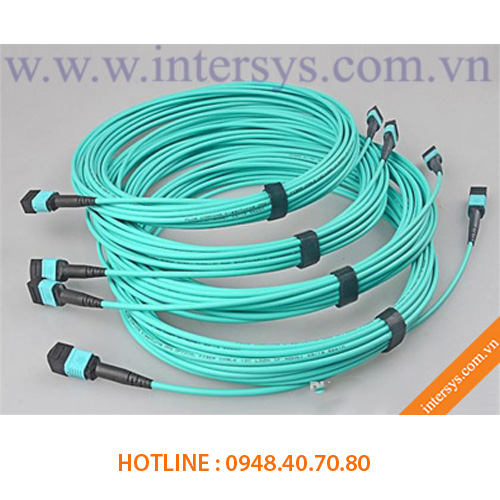 Dây Nhảy Quang MPO-MPO 12FO OM3